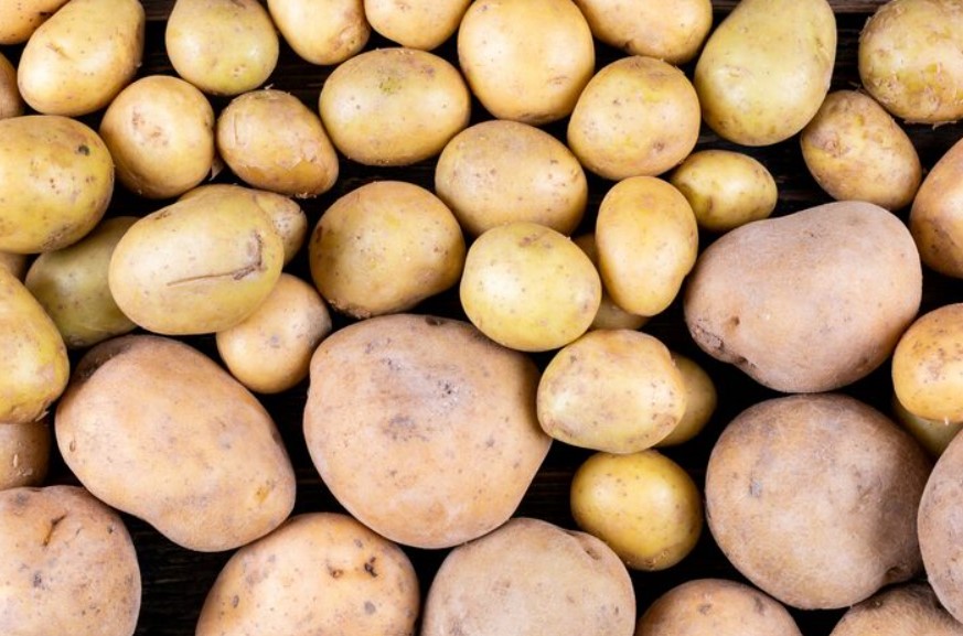 Potato